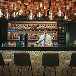 菲林根-施文宁根假日酒店&度假村 菲林根-施文宁根