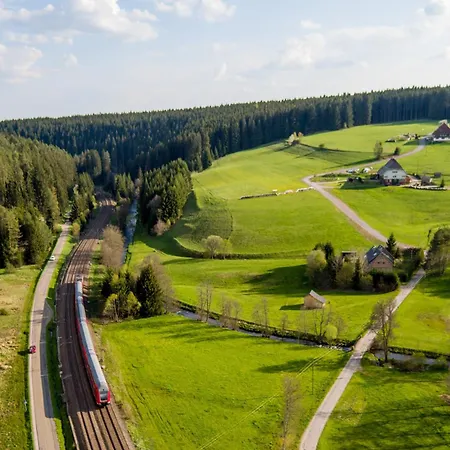 菲林根-施文宁根假日酒店&度假村 4* 菲林根-施文宁根