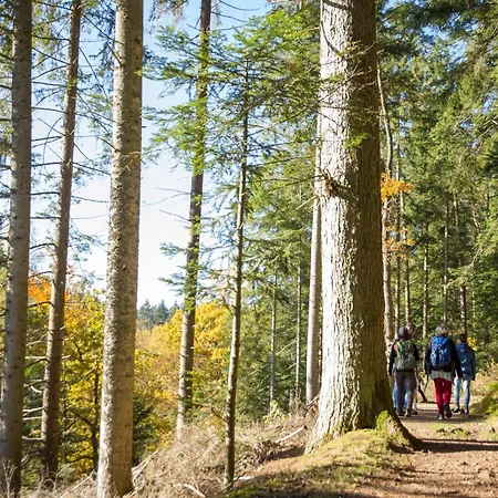 菲林根-施文宁根假日酒店&度假村 4*