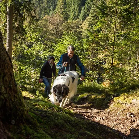 菲林根-施文宁根假日酒店&度假村 酒店