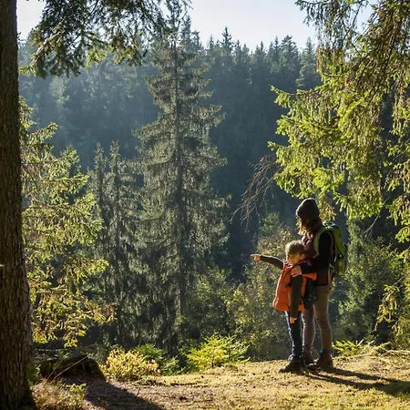 - - Schwenningen By Ihg 4*